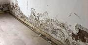 Condensation & Damp Proofing Specialists in Cheshire - Damp 2 Dry solu